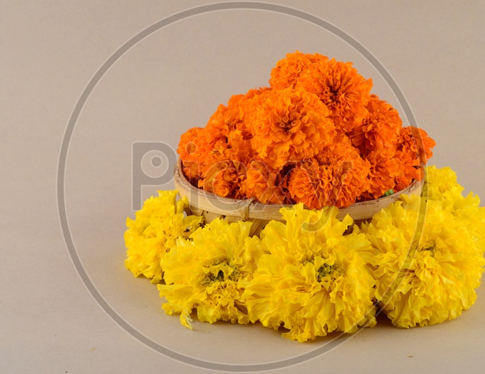Mari Gold Flowers in a Wooden Weaved Basket For Hindu God Pooja On a  Festival Day  On an Isolated White Background