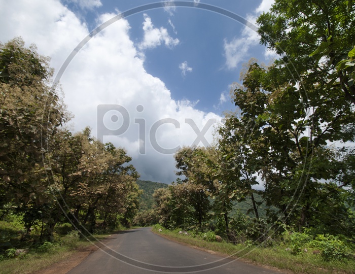 Roads In the Tribal Villages With Agricultural Fields On the Both Sides Of The Road