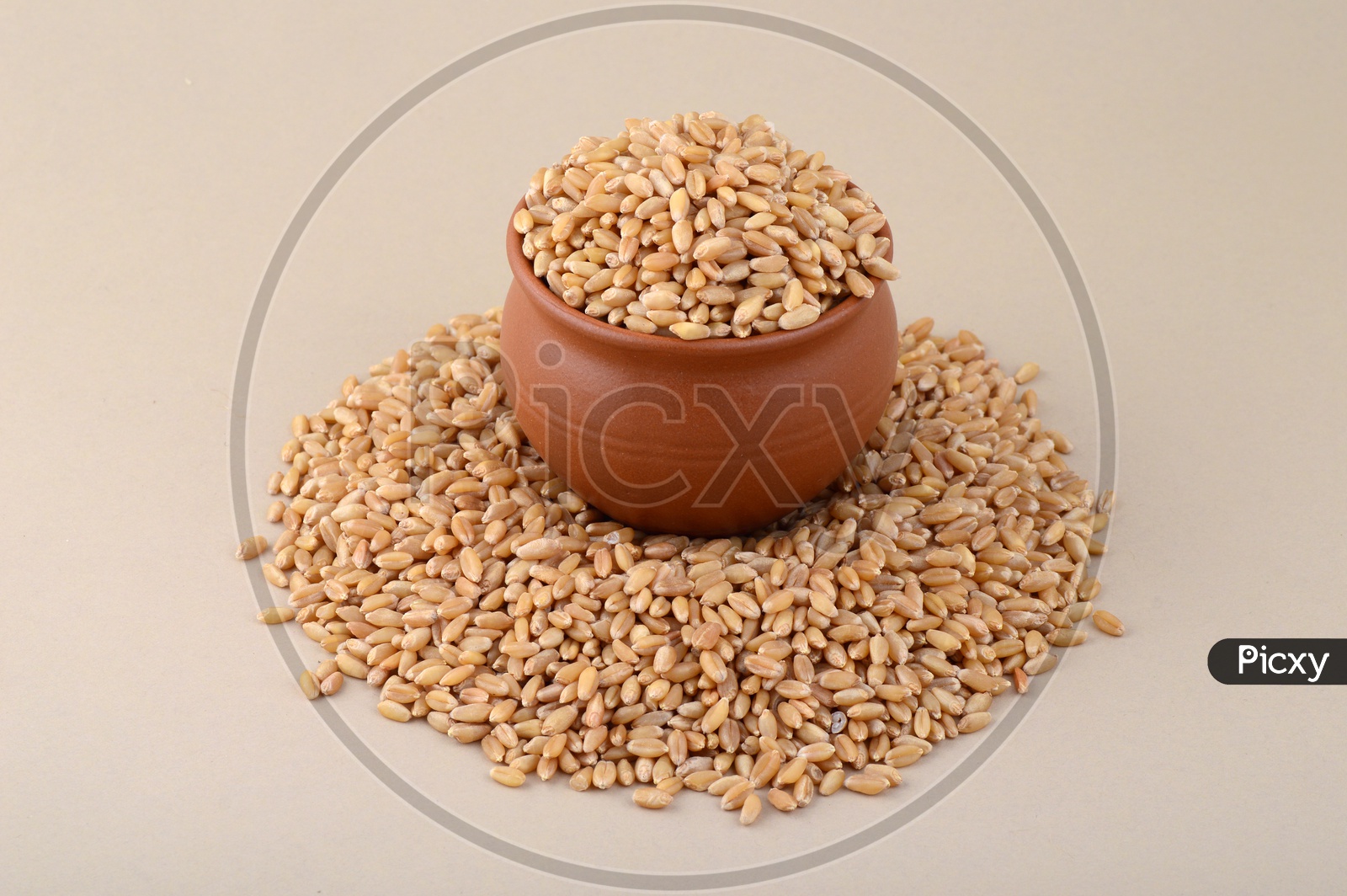 Wheat grains in clay pot