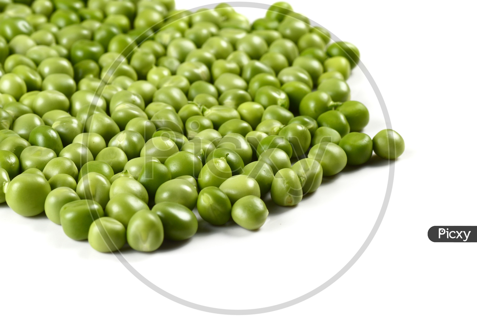 Fresh Green Pea  on An Isolated  white background