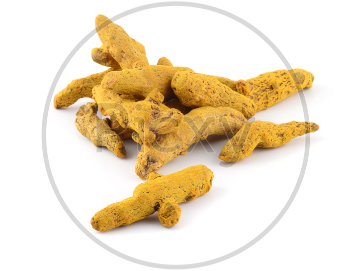 Dry Turmeric Roots or Barks on an Isolated White Background