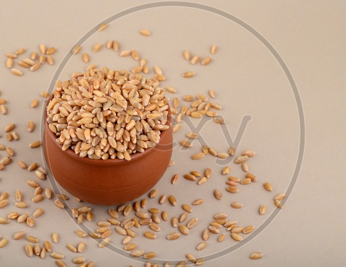 Wheat grains in clay pot