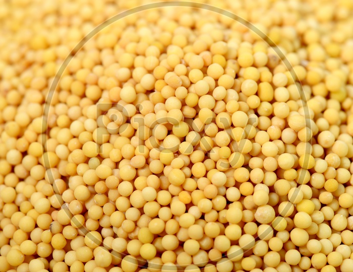Close up shot of yellow mustard seeds