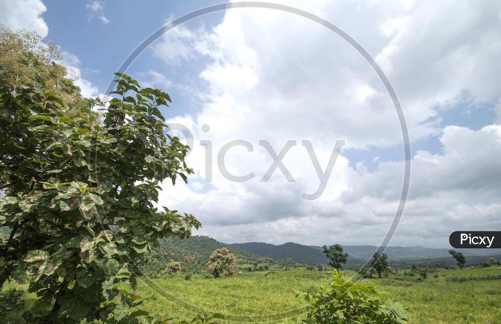 A Landscape With Agricultural Fields And Cotton Clouds in The Blue Sky