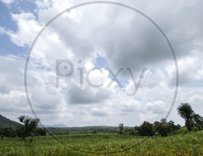A Landscape View With The Agricultural  Fields And Cotton Clouds in Blue Sky