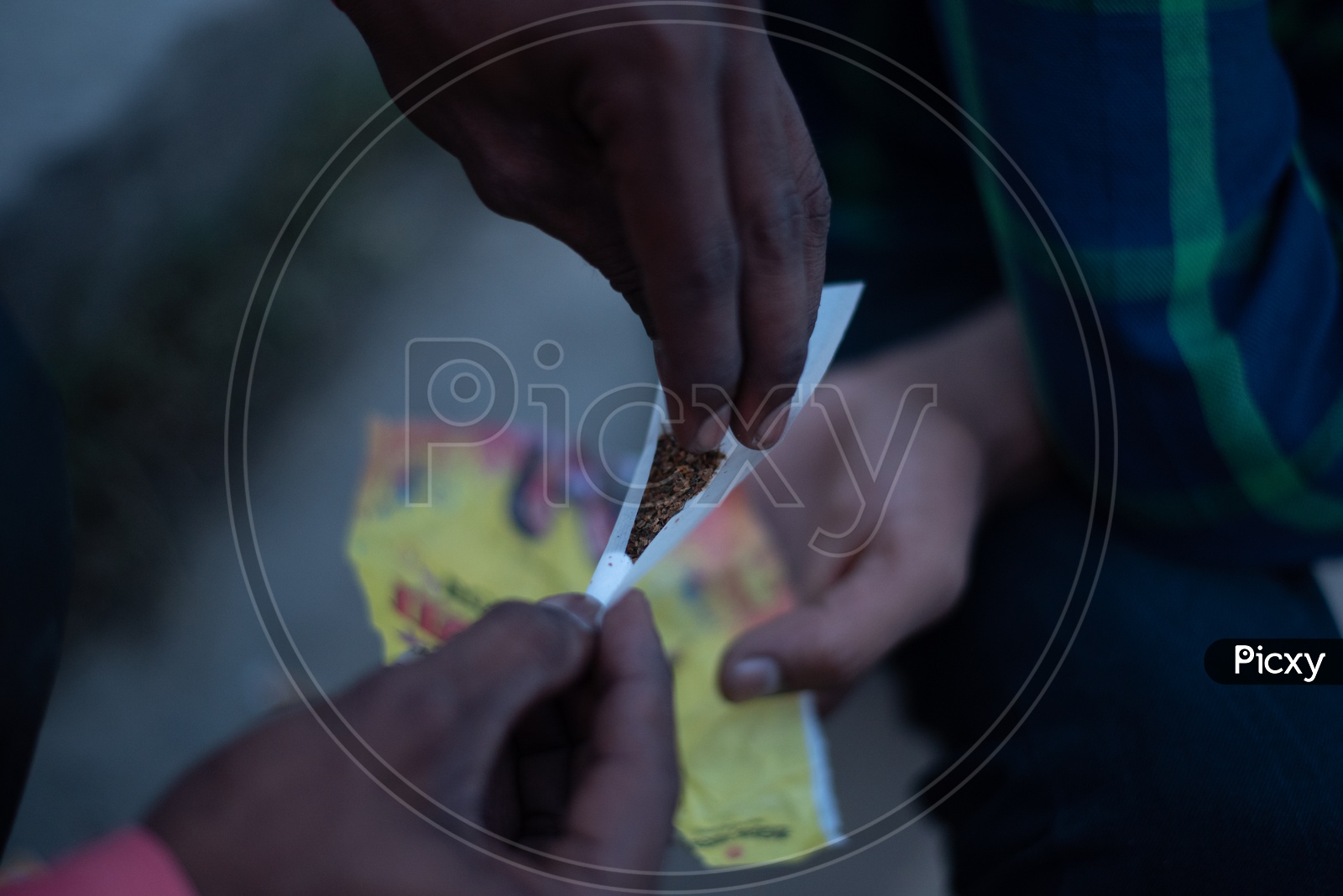 An Indian Making  The Cigar With Marijuna  Or Weed Or Ganja  Leafs  Closeup