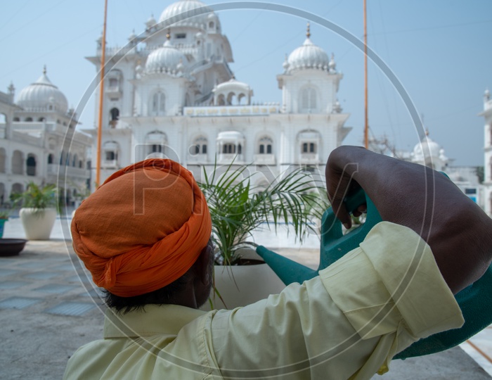 A Sikh Man Watering  the Plants in Gurudwara