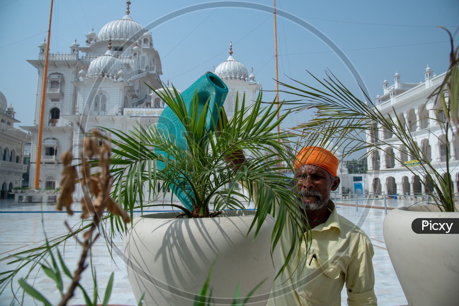 A Sikh Man Watering  the Plants in Gurudwara