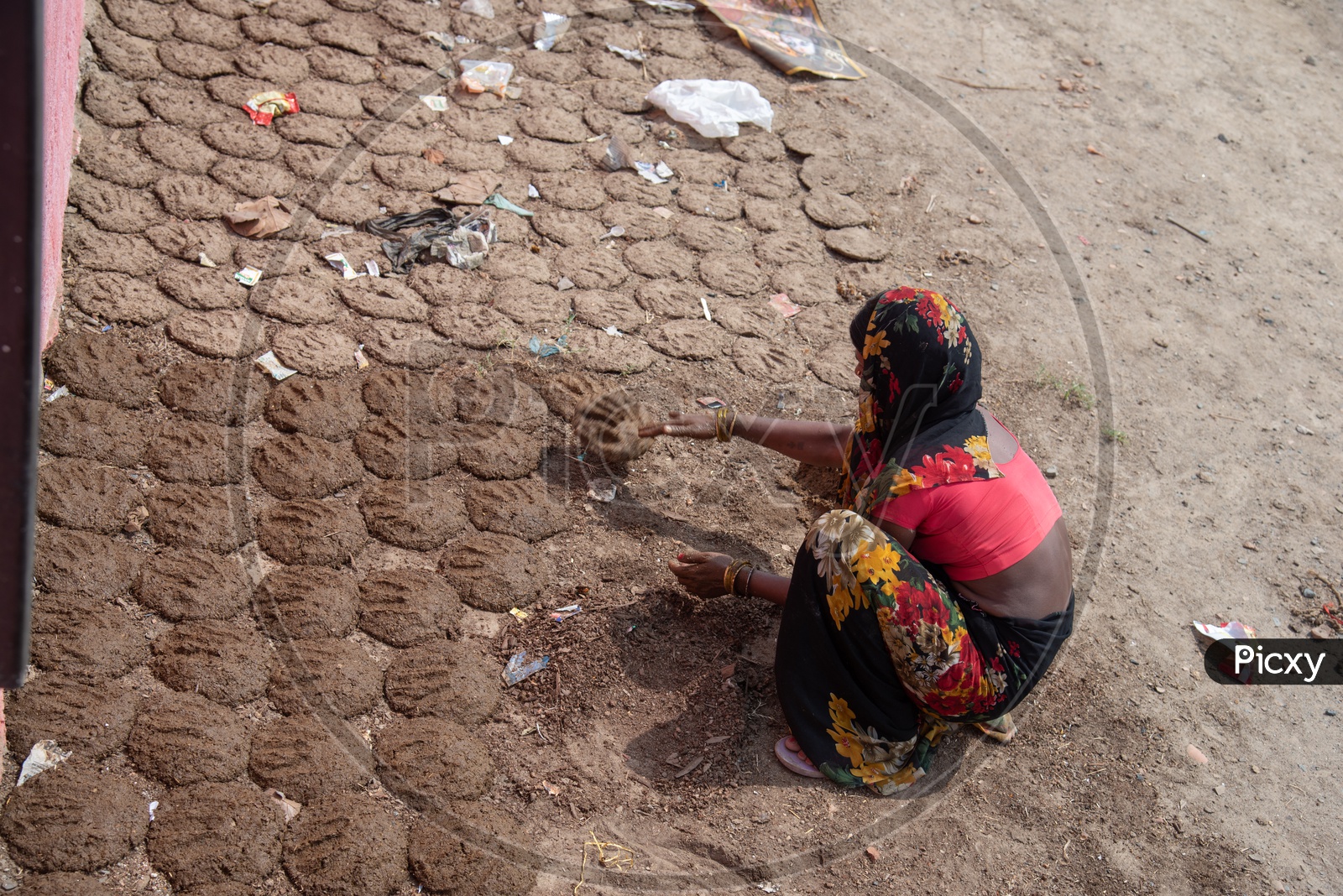 A Woman Making The Dry Dung Fuel or Dung Cakes  at Kangan Ghat or Chimney Ghat , Patna