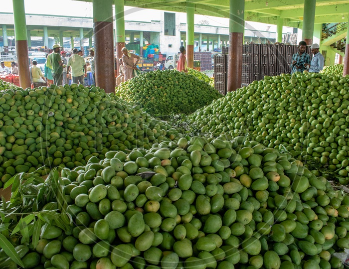 Heap of mangoes at Kothapet Fruit market, Dilsukhnagar, Hyderabad.