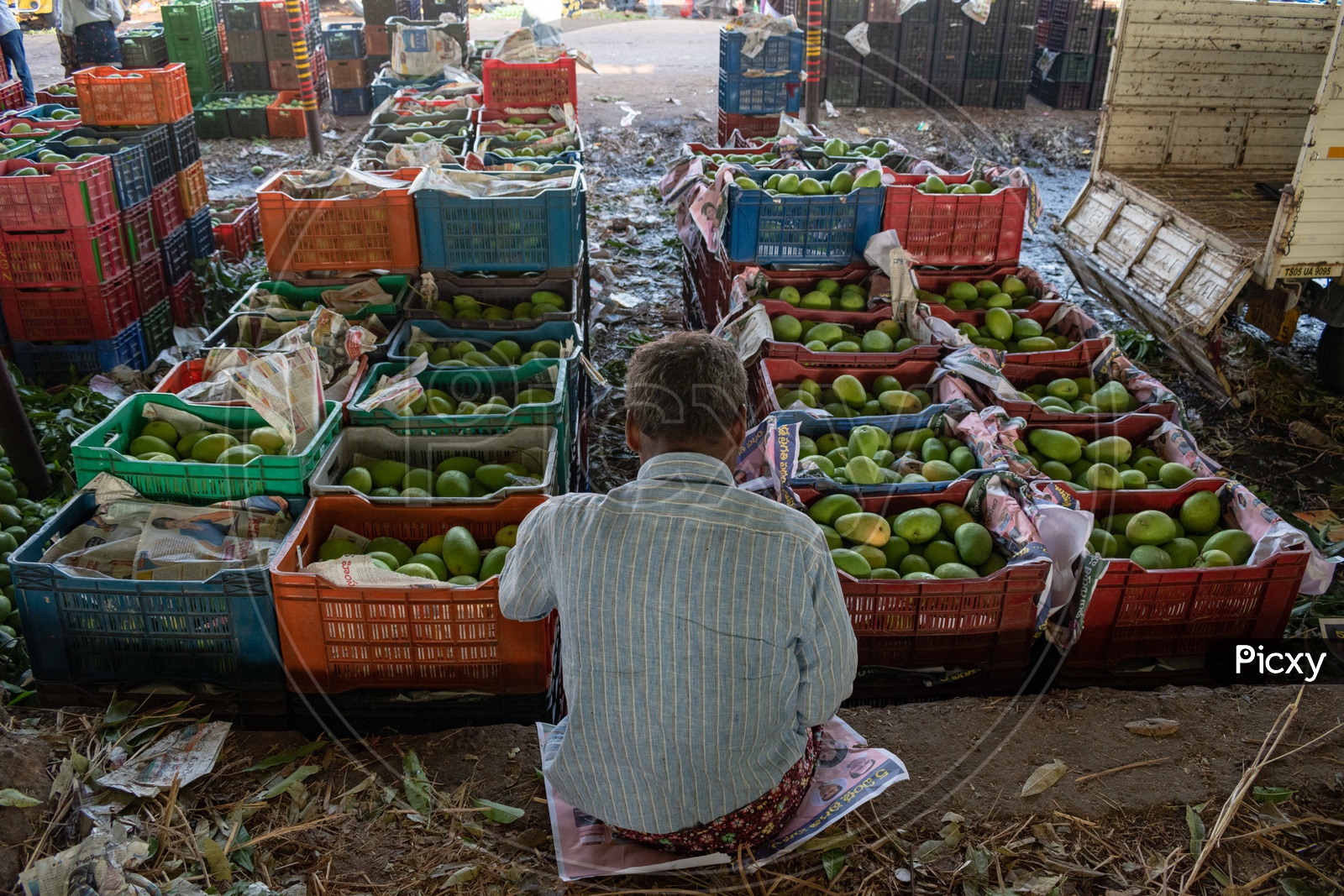 Image of Farmer with his load of mangoes in baskets at Kothapet Fruit
