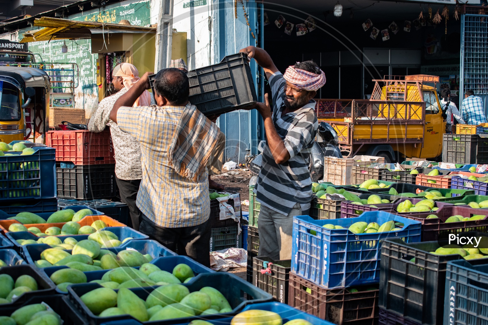 Image of Workers carrying mango baskets at Kothapet Fruit market