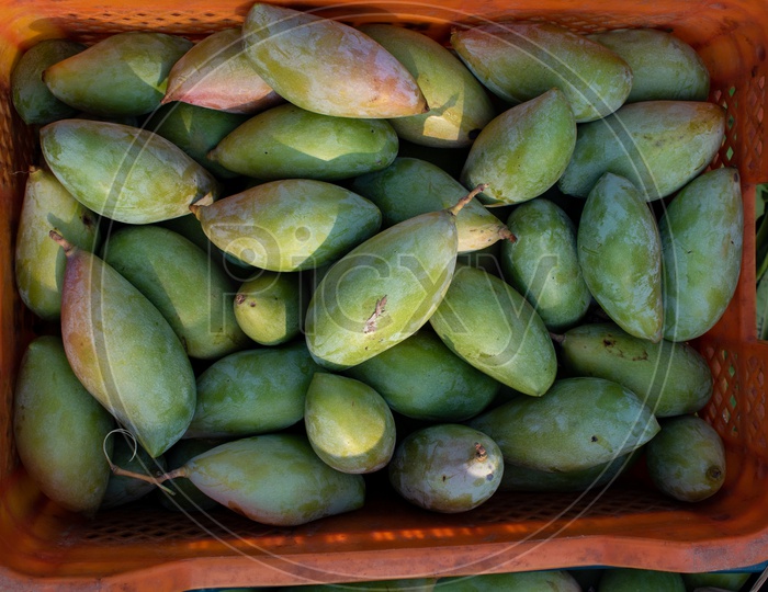 Totapuri or Collector mangoes in basket at Kothapet Fruit market, Dilsukhnagar, Hyderabad.