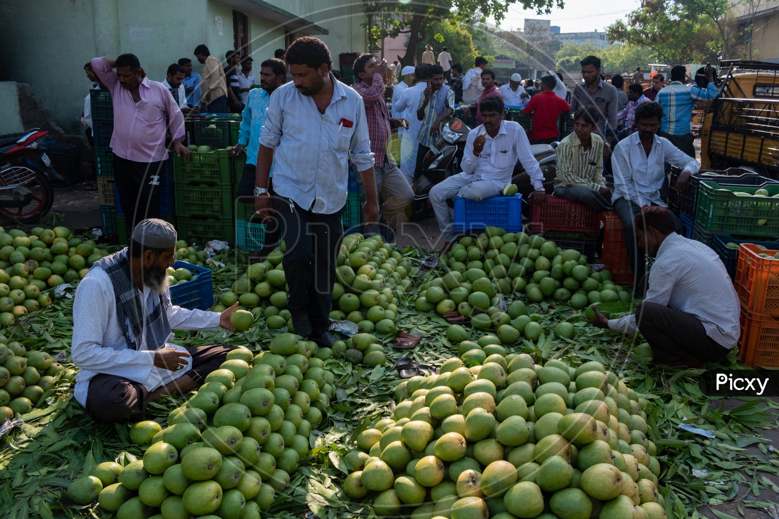 Selling mangoes at Kothapet Fruit market, Dilsukhnagar, Hyderabad.