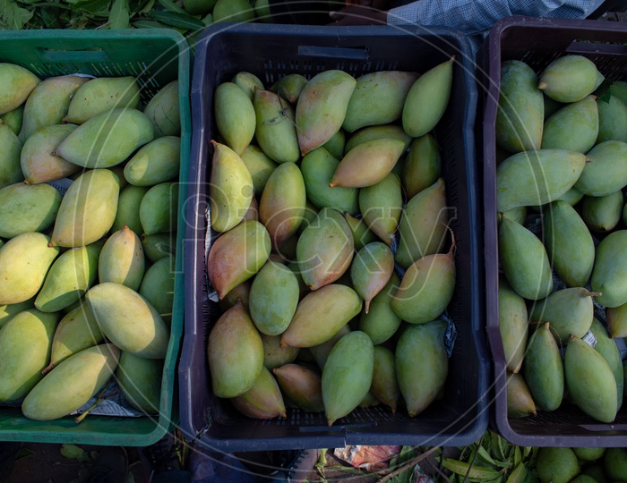 Totapuri or Collector mangoes in baskets at Kothapet Fruit market, Dilsukhnagar, Hyderabad.