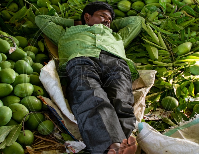 Person sleeping in midst of mangoes at Kothapet Fruit market, Dilsukhnagar, Hyderabad.