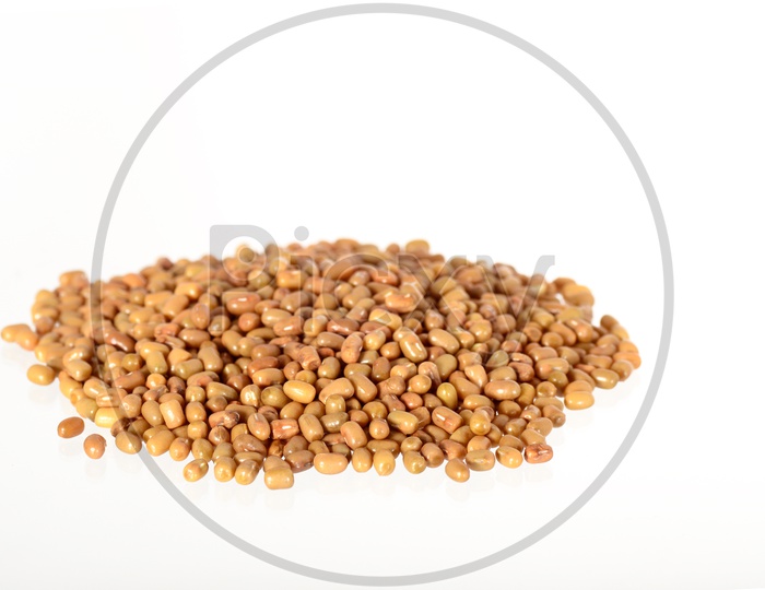 A Heap of Moth Bean or Dew Bean or Legume Or Turkish Gram Or Mat Bean Or Alasandhalu  on an Isolated White Background