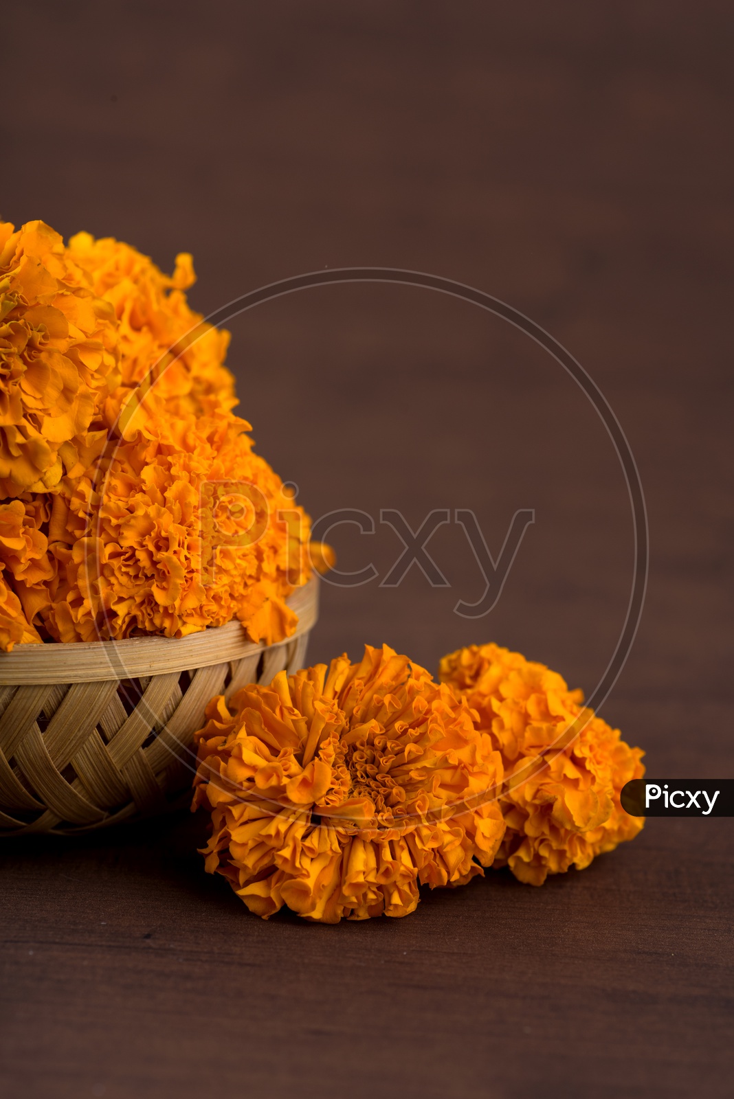 Mari gold Flowers in a Wooden Weaved Basket For Worshiping Hindu God on an Isolated  Background