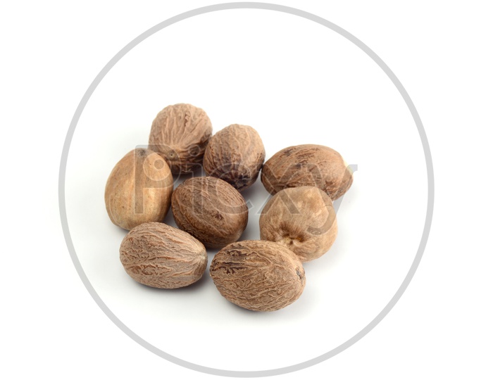 Indian Spice Nutmeg   On an Isolated White Background