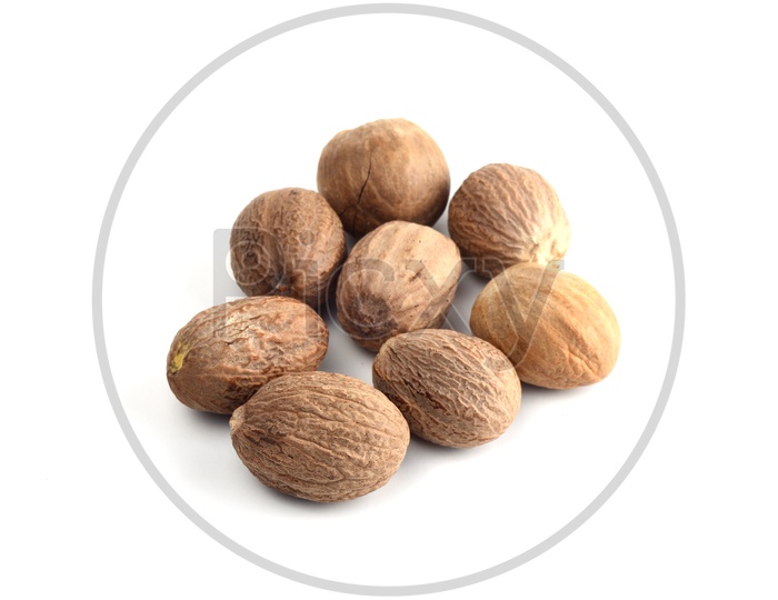Indian Spice Nutmeg   On an Isolated White Background