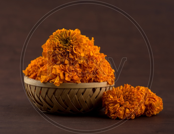 Mari gold Flowers in a Wooden Weaved Basket For Worshiping Hindu God on an Isolated  Background