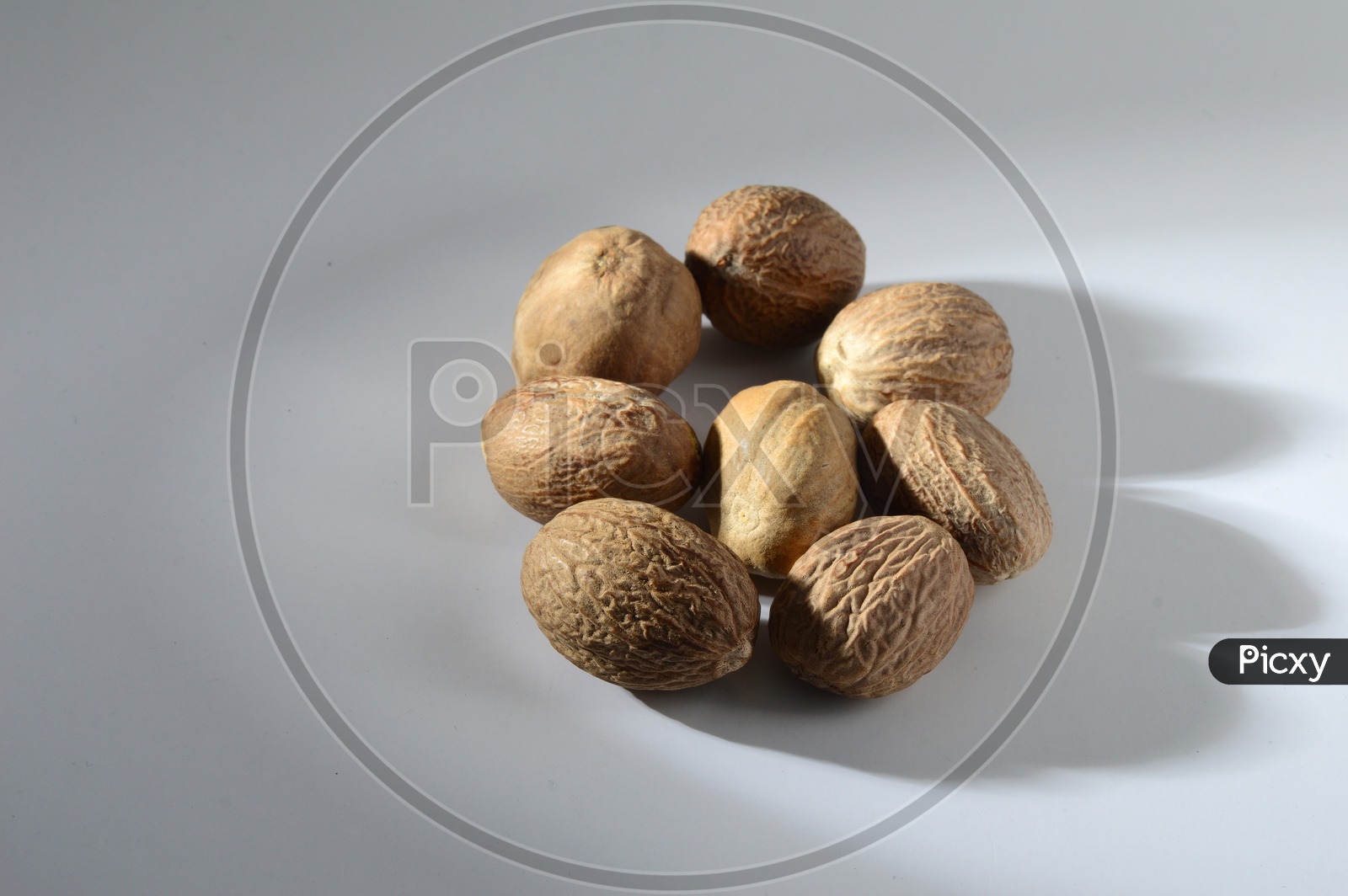 Indian Spice Nutmeg On an Isolated White Background