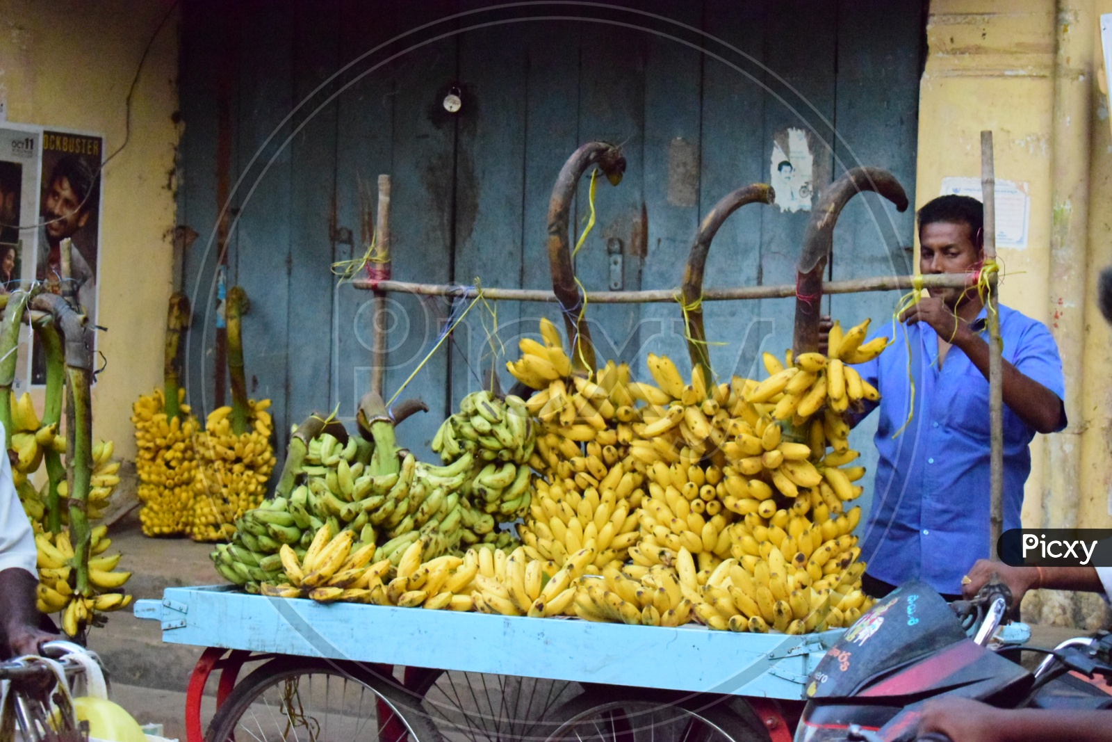 Banana Vendor