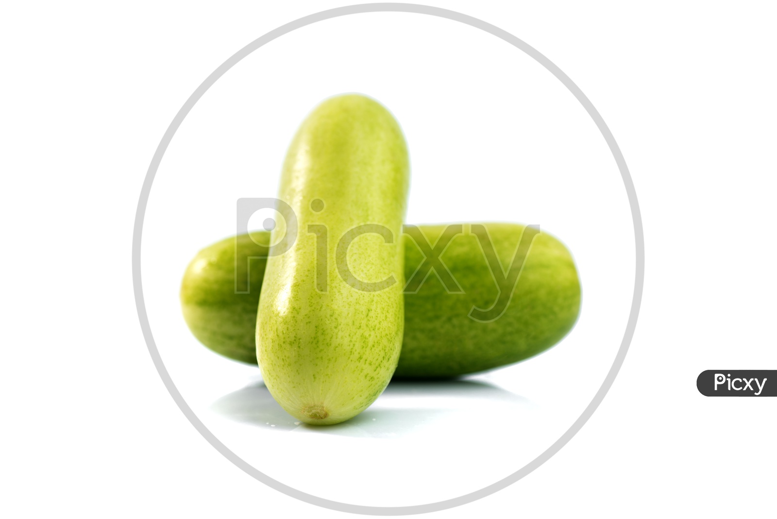 Fresh Green Cucumber Vegetable On an Isolated White Background