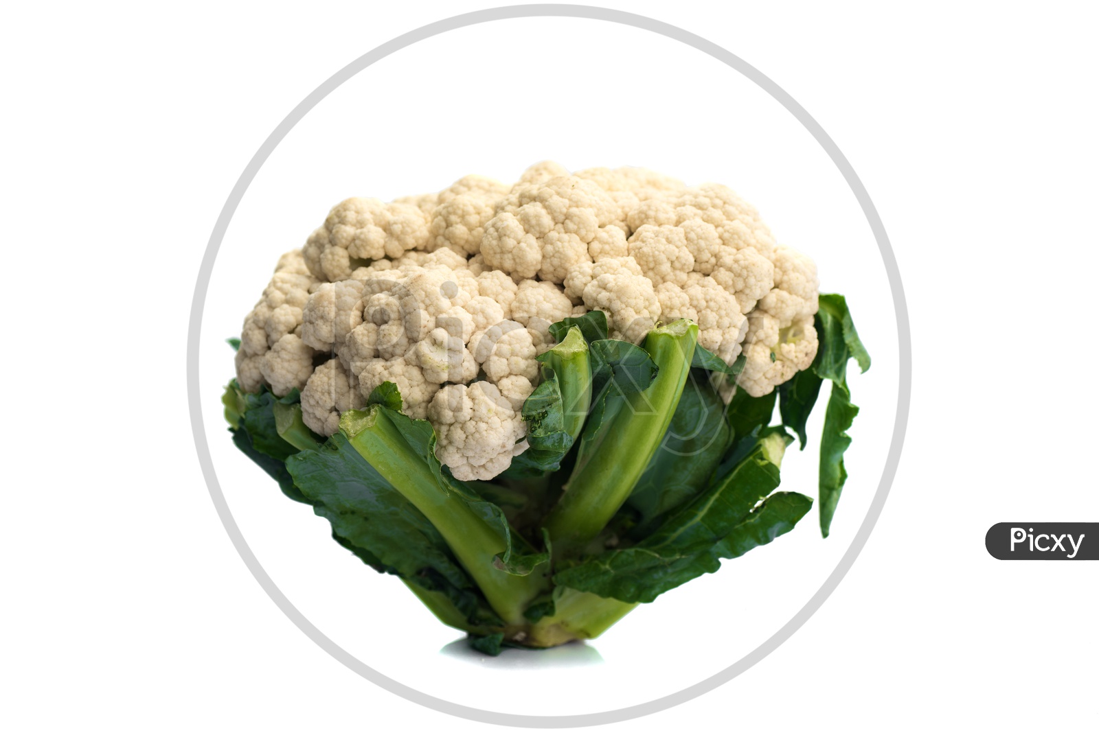 Cauliflower Vegetable Isolated On an White Background