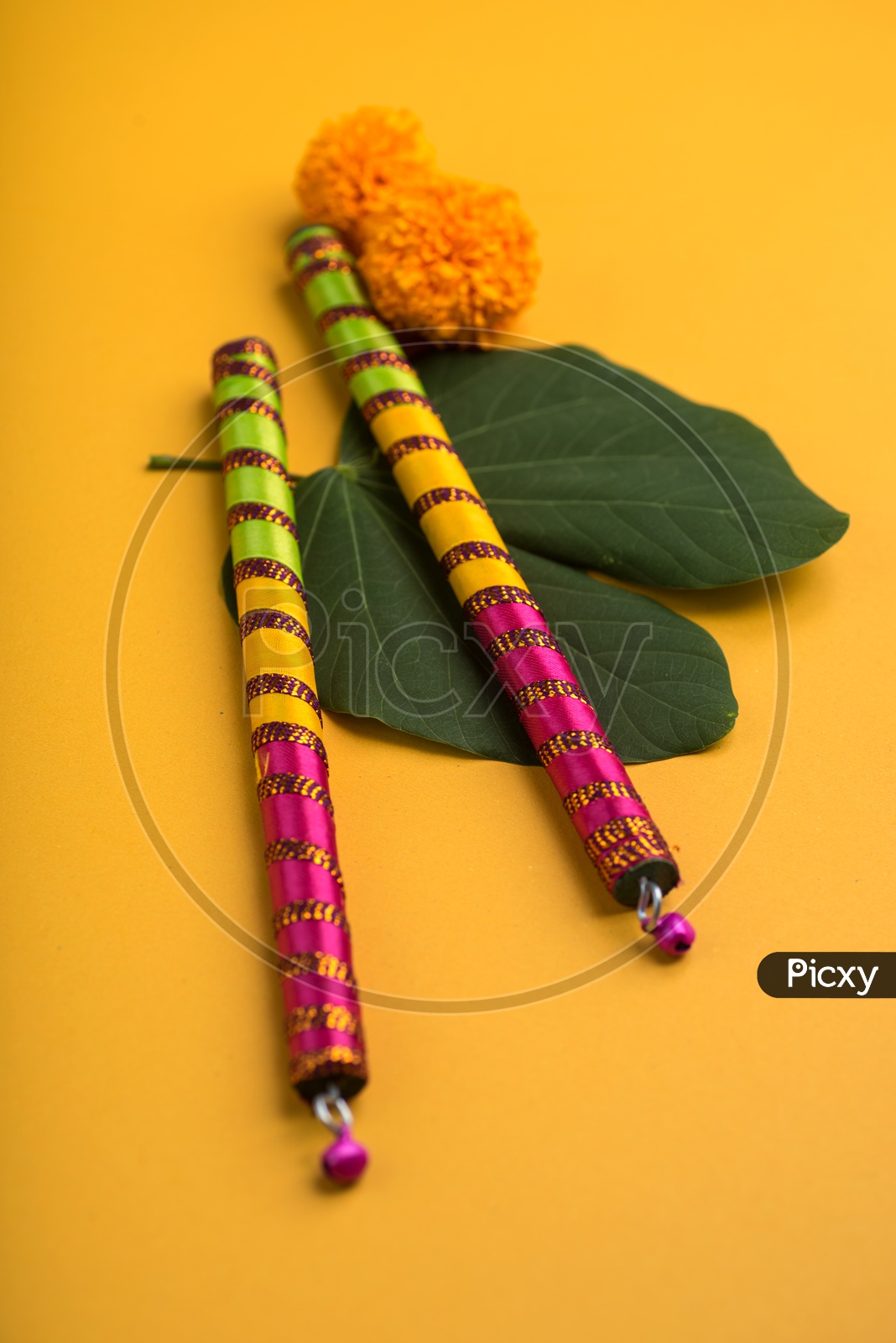 Indian Festival Dussera or Navrathri Symbolic Representation With Dandiya Sticks , Mari Gold Flowers And Golden Leaf ( Bauhinia Racemosa )