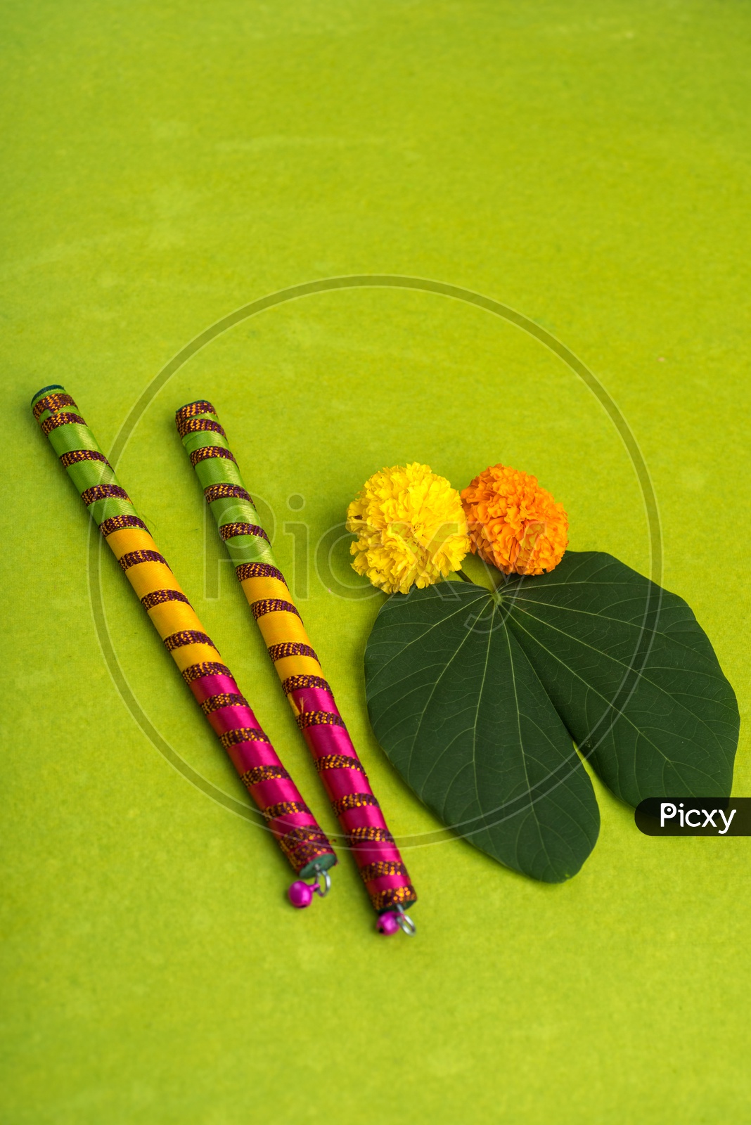 Indian Festival Dussera or Navrathri Symbolic Representation With Dandiya Sticks , Mari Gold Flowers And Golden Leaf ( Bauhinia Racemosa ) on an Isolated Background