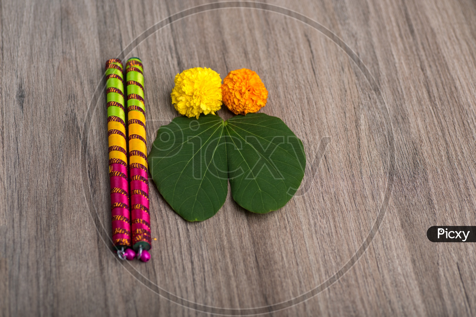 Indian Festival Dussera or Navrathri Symbolic Representation With Dandiya Sticks , Mari Gold Flowers And Golden Leaf ( Bauhinia Racemosa ) On an Isolated Wooden Background