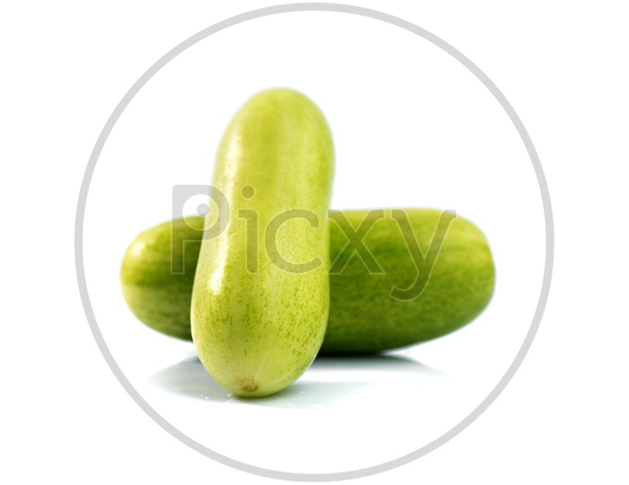 Fresh Green Cucumber Vegetable On an Isolated White Background