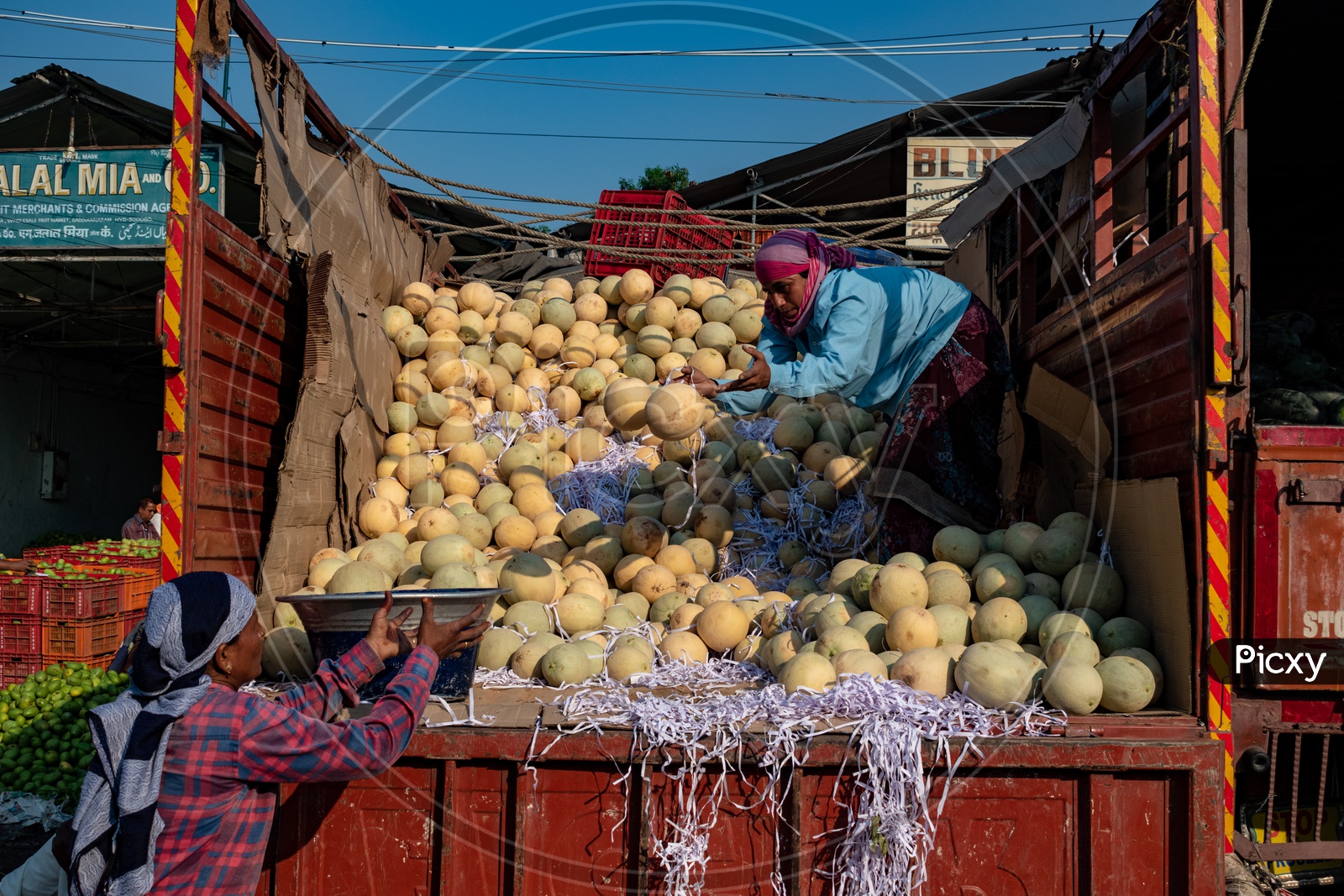 A woman unloading the muskmelon fruits from a lorry at Kothapet Fruit market, Hyderabad.
