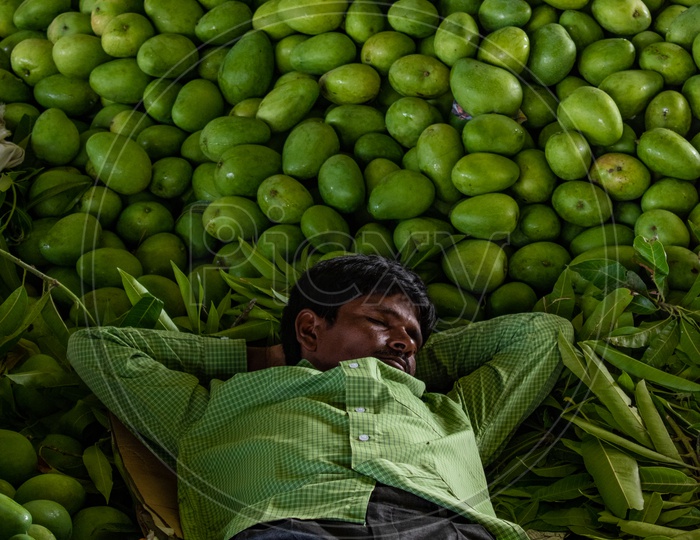 A farmer sleeping on mangoes at Kothapet Fruit market, Hyderabad.