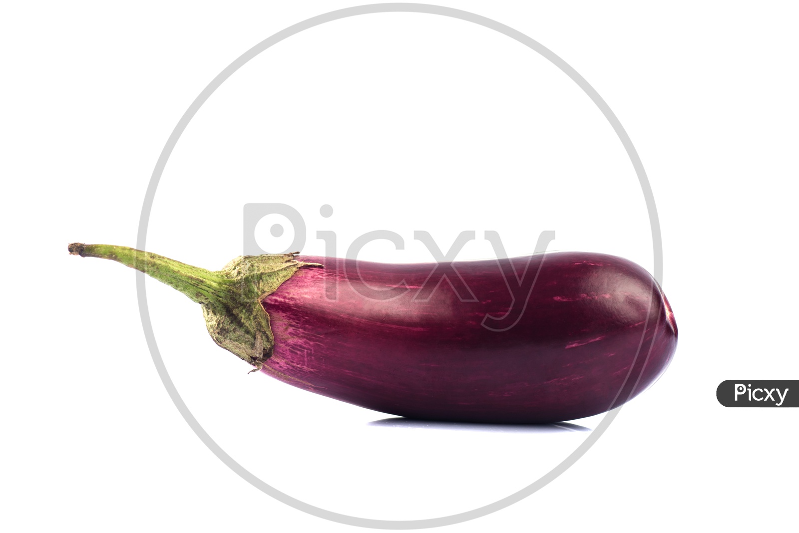 Egg Plant Or Brinjal Or Baigan Or Aubergine Vegetable on an Isolated White Background