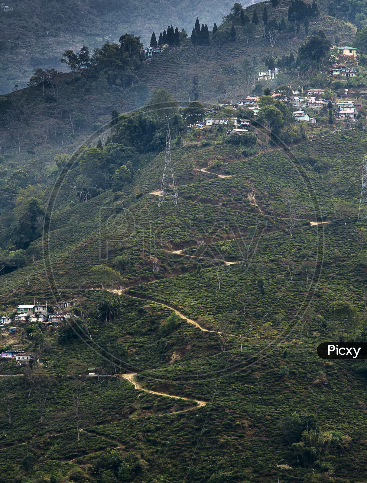 Darjeeling Vilage View