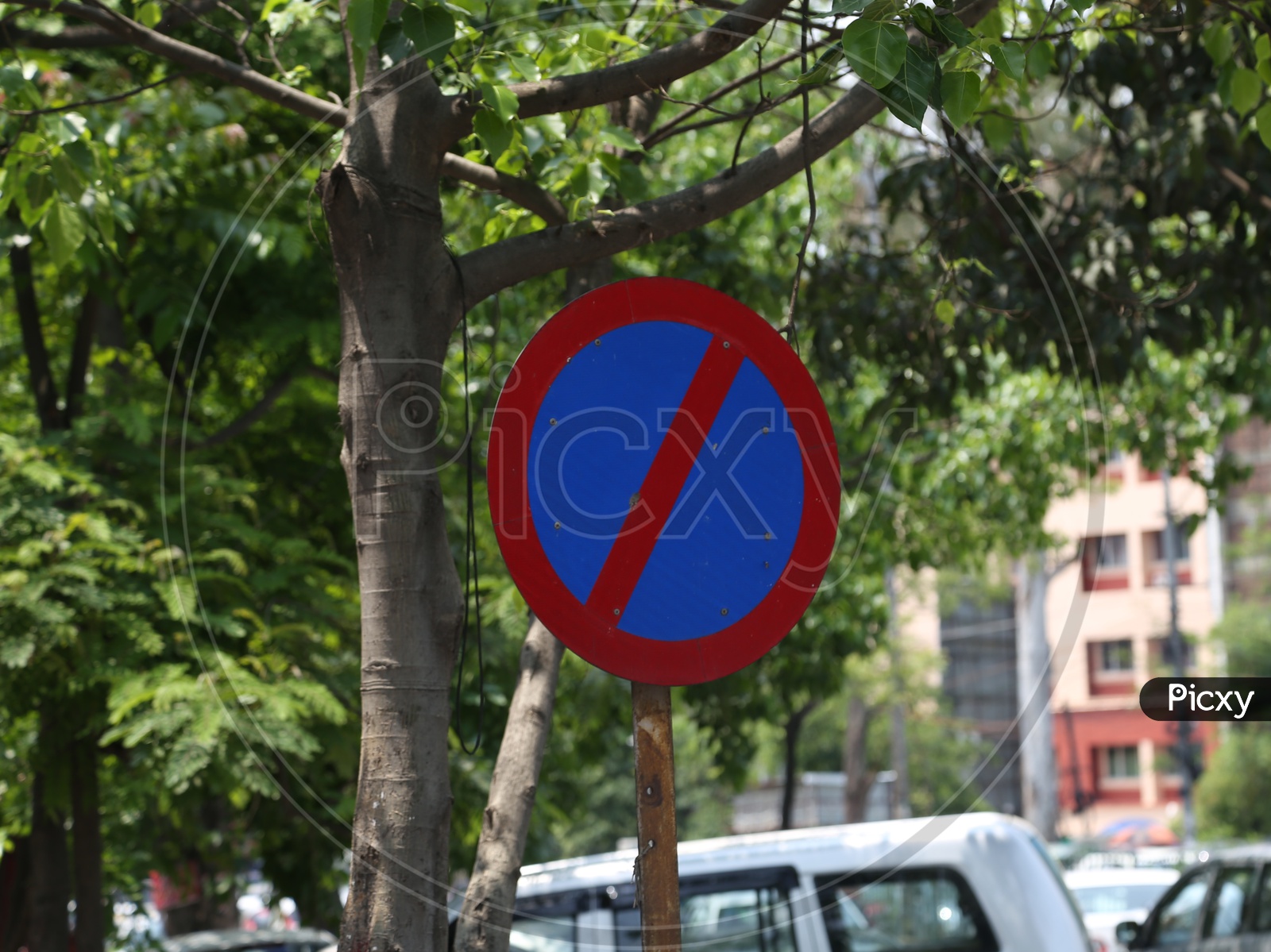 No Parking  Traffic Sign Boards By Traffic Police