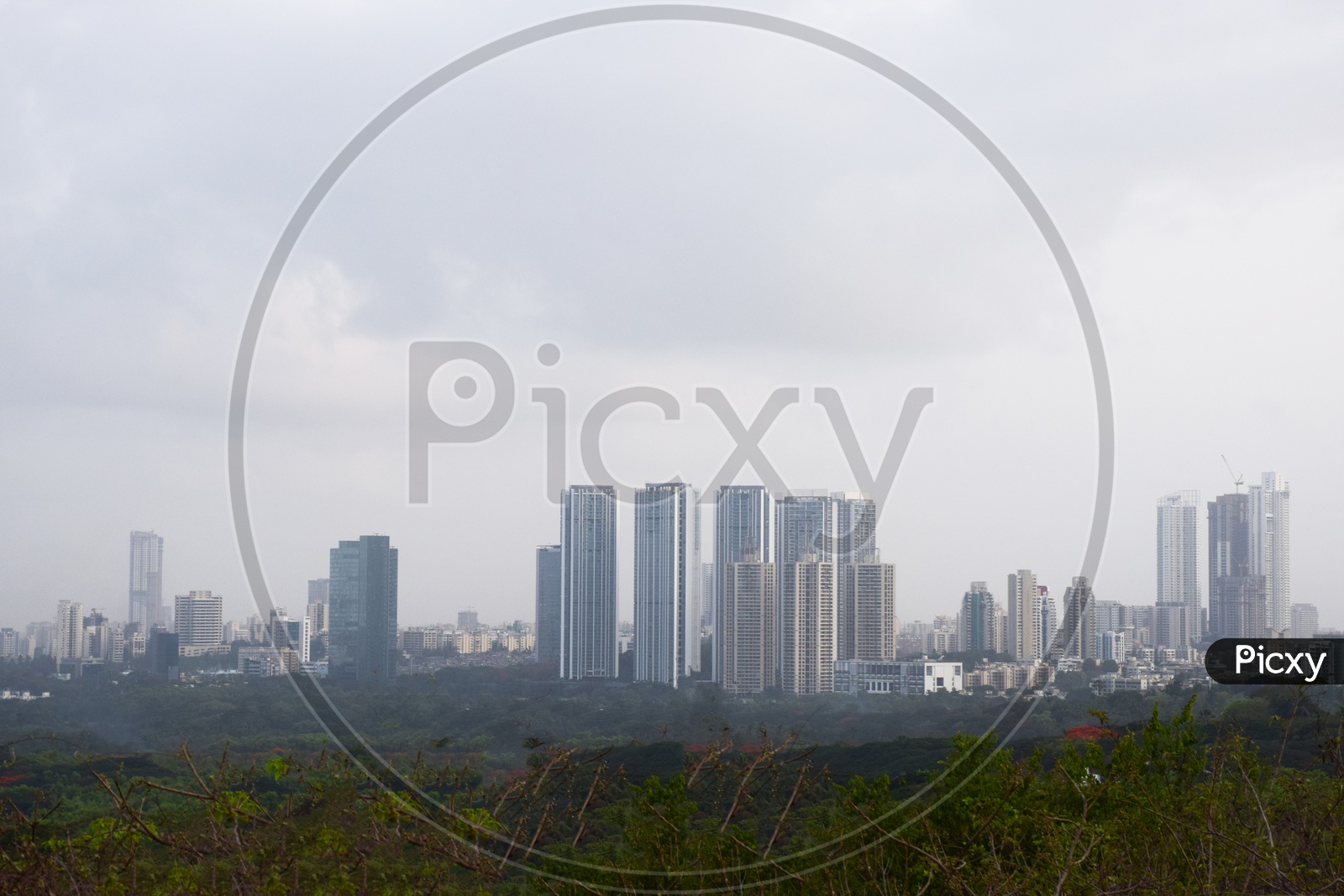 view of city from Aarey forest