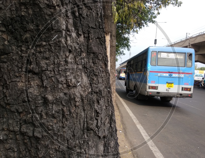 Setwin buses on road