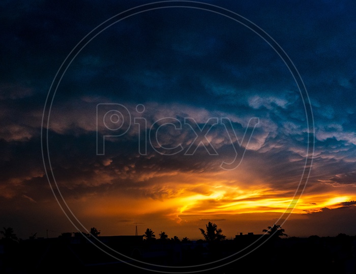 Panaromic View of Dramatic Golden Hour Sky With Silhouette of Trees