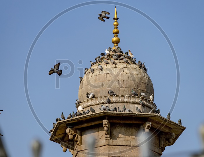 Pigeons on a Minaret