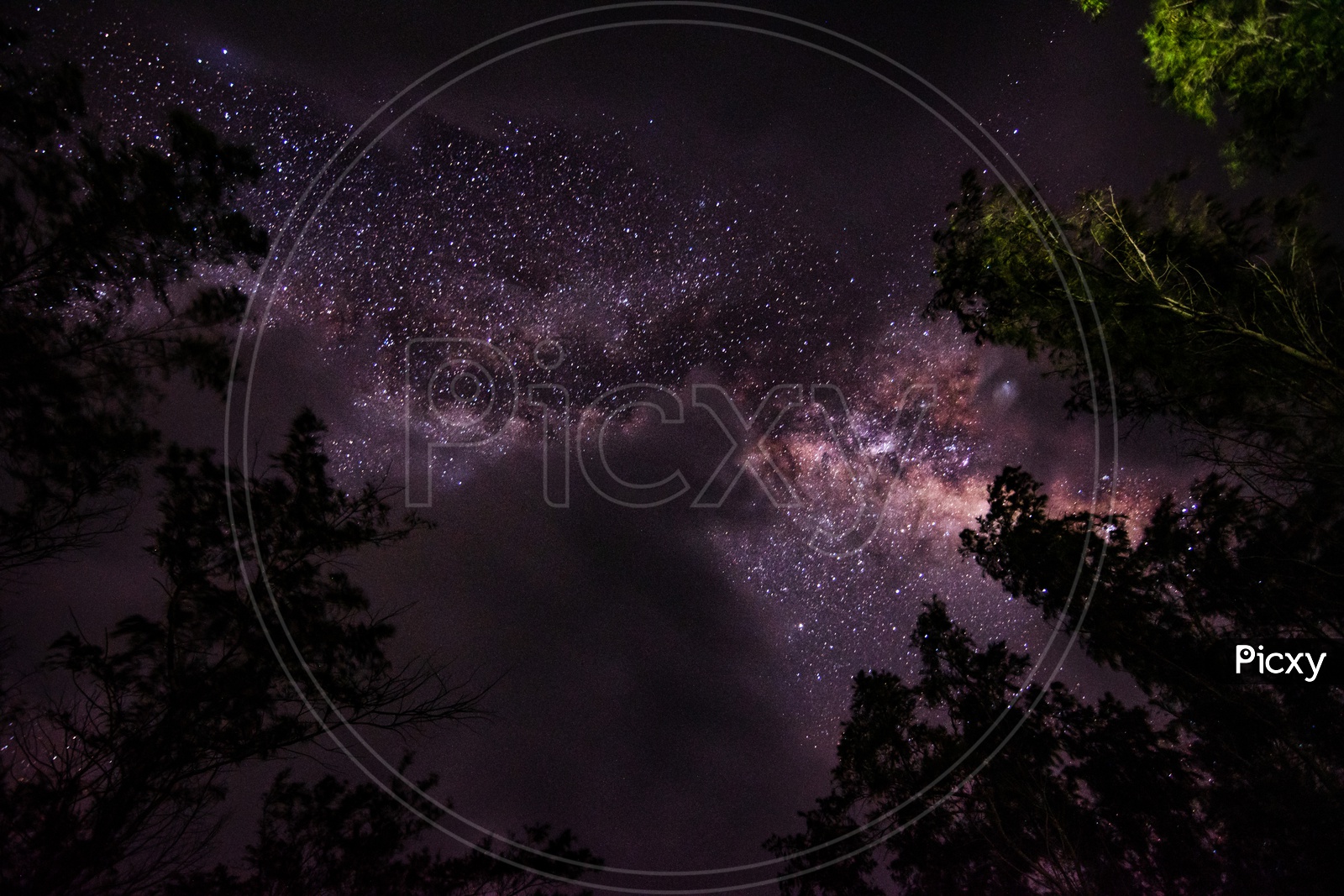 Amazing Milky way And Stargazing  with Silhouette Of Trees