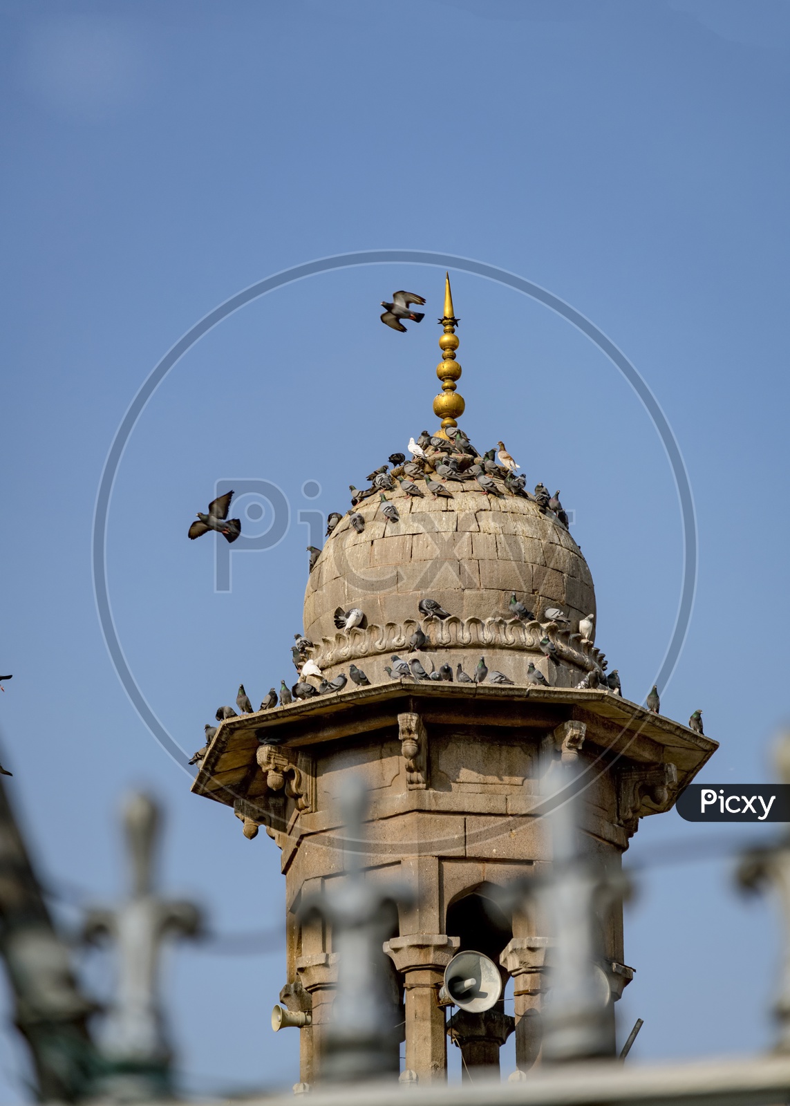 Pigeons on a Minaret