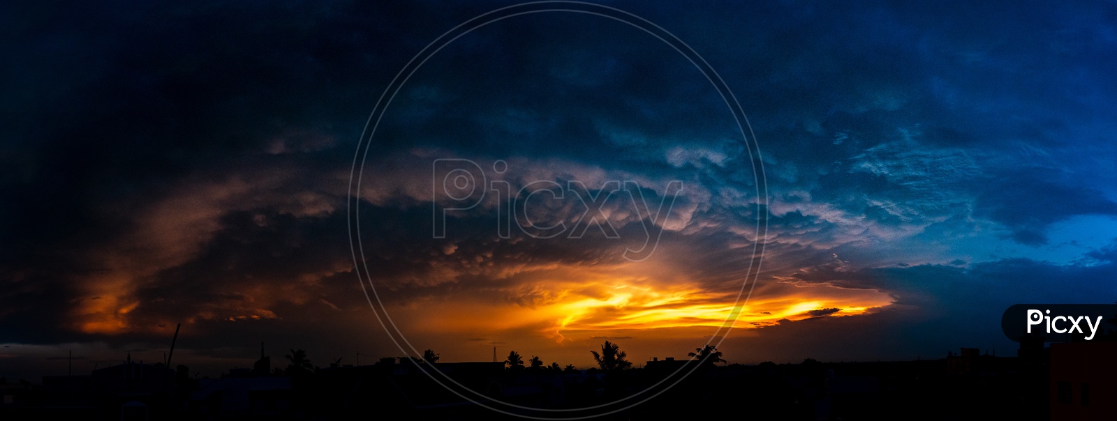 Panaromic View of Dramatic Golden Hour Sky With Silhouette of Trees
