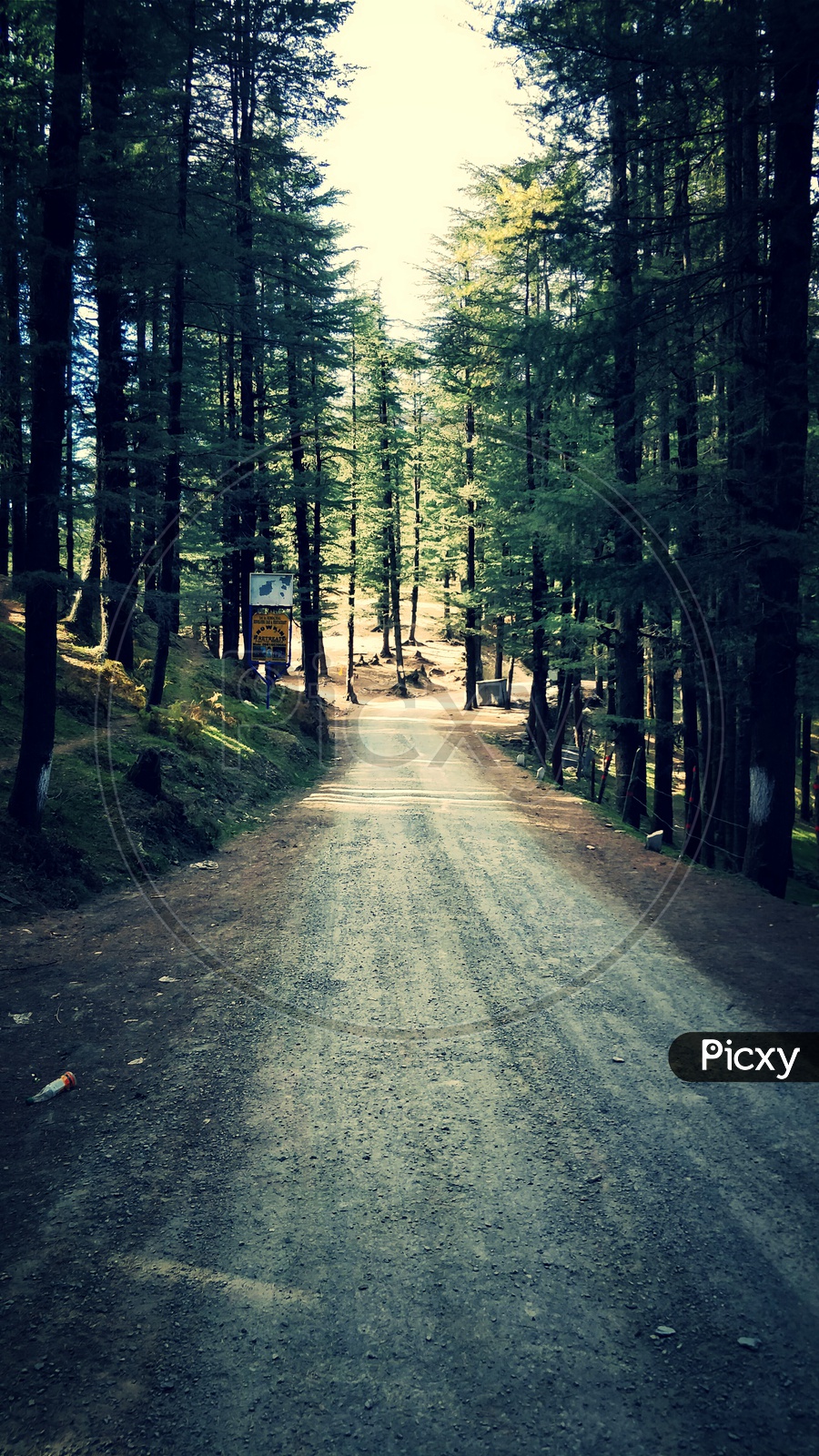 A Road Through Shimla Hills