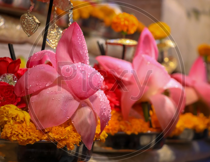 Fresh Lotus and various flowers being sold at a shop