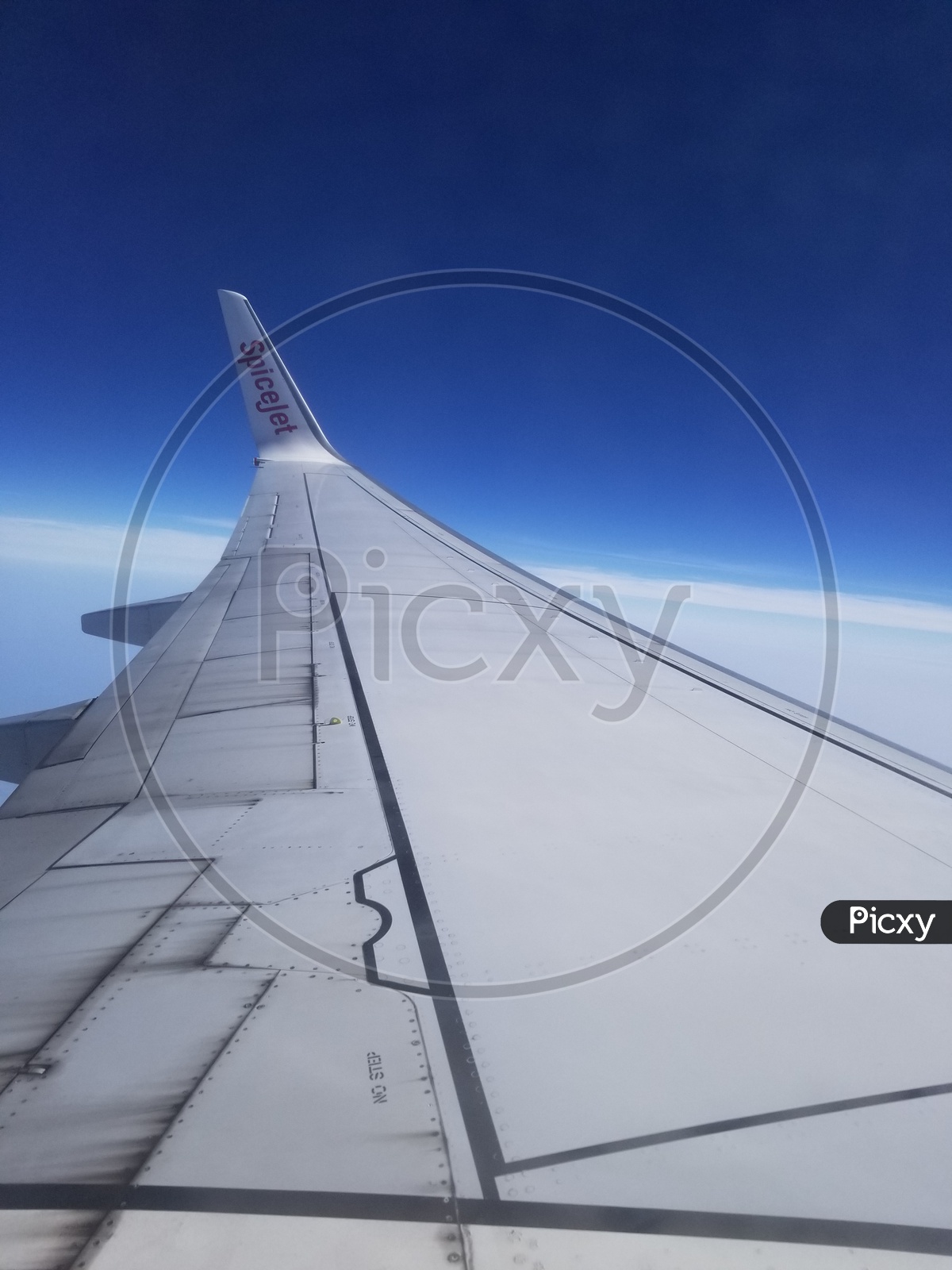 Controversial Couple'S Travel Diaries - 7koy33f