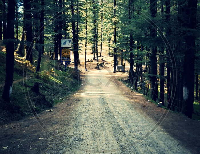 A Road Through Shimla Hills