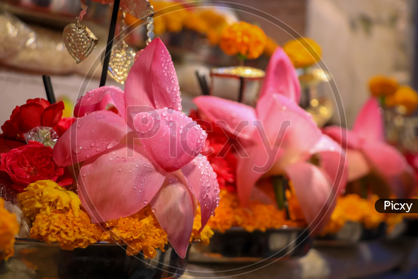 Fresh Lotus and various flowers being sold at a shop